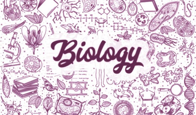 Preparation Guide to NEET Biology